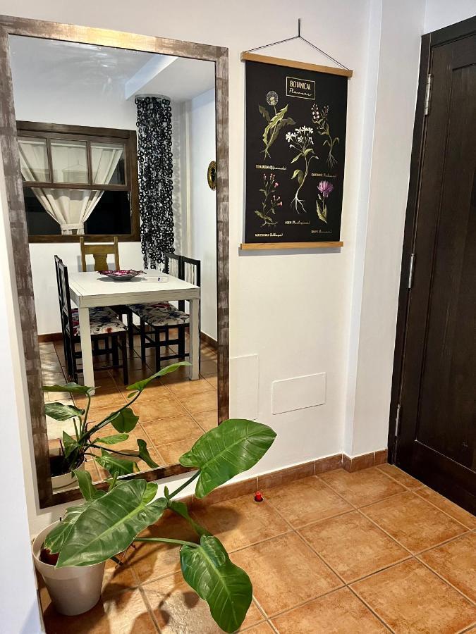Casa Canleyy 洛斯·亚诺斯·德·阿里丹 外观 照片